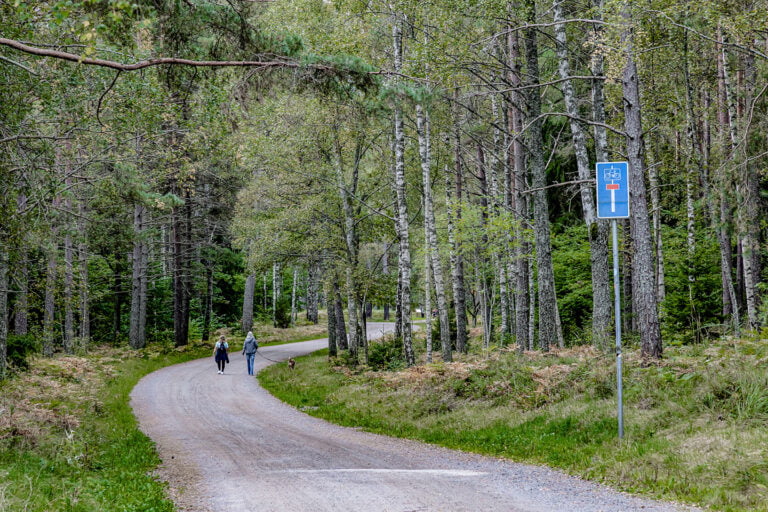 cykelväg genom skogsparti två personer med hund bakifrån på avstånd